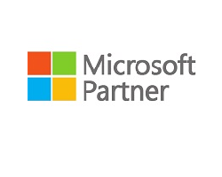 icon-tout-microsoft-partner-logo